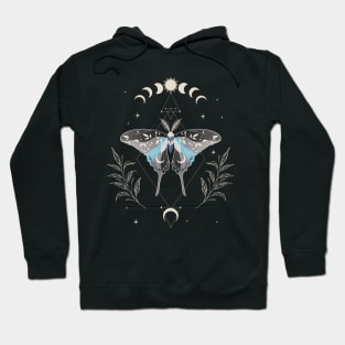 Demiboy Luna Moth Celestial Cottagecore LGBT Pride Flag Hoodie